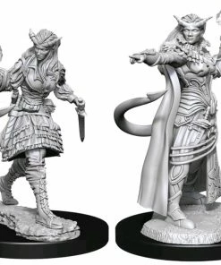 WizKids Games Dungeons & Dragons - Nolzur's Marvelous Unpainted Minis: Tiefling Sorcerer Female All Board Games