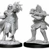 WizKids Games All Board Games Dungeons & Dragons - Nolzur's Marvelous Unpainted Minis: Hobgoblin Fighter Male & Wizard Female