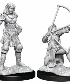 WizKids Games All Board Games Pathfinder - Deep Cuts Unpainted Miniatures: Human Fighter Female