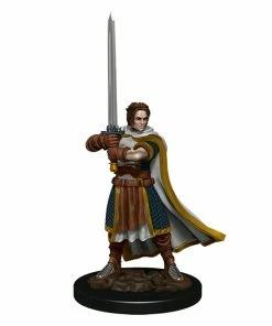 WizKids Games Dungeons & Dragons - Premium Human Fighter Male Miniature