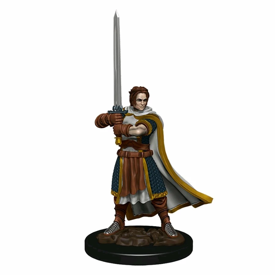 WizKids Games Dungeons & Dragons - Premium Human Fighter Male Miniature 1 WizKids Games Dungeons & Dragons - Premium Human Fighter Male Miniature