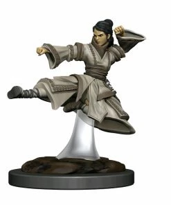 WizKids Games Dungeons & Dragons - Icons Of The Realms Human Monk Female Premium Figure