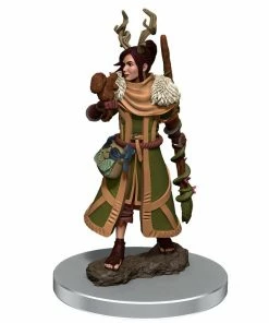 WizKids Games All Board Games Dungeons & Dragons - Icons Of The Realms Premium Female Human Druid