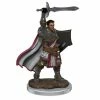 WizKids Games All Board Games Dungeons & Dragons - Icons Of The Realms Premium Male Human Paladin