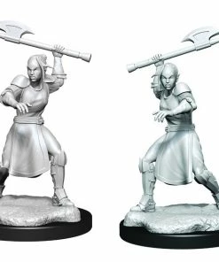 WizKids Games Critical Role - Unpainted Half-Elf Echo Knight