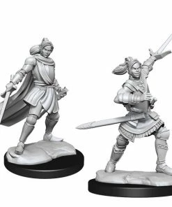 WizKids Games Critical Role - Unpainted Half-Elf Paladin Xhorhas All Board Games