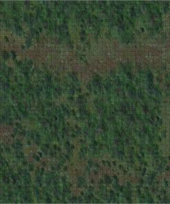 D&D Icons Of The Realms Forest Battle Mat All Board Games