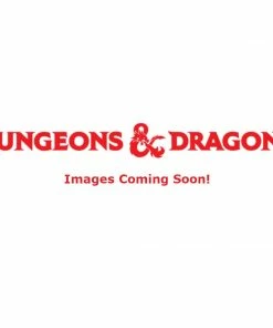 Dungeons & Dragons D&D Idols Of The Realms Van Richtens Guide To Ravenloft 2D Set 1