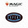 Ozzie Collectables All Board Games Magic The Gathering Expert Level Limited Edition Pin Badge