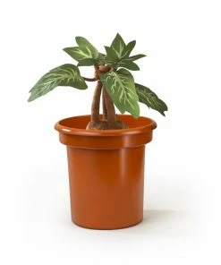 Noble Collection HARRY POTTER Interactive Mandrake