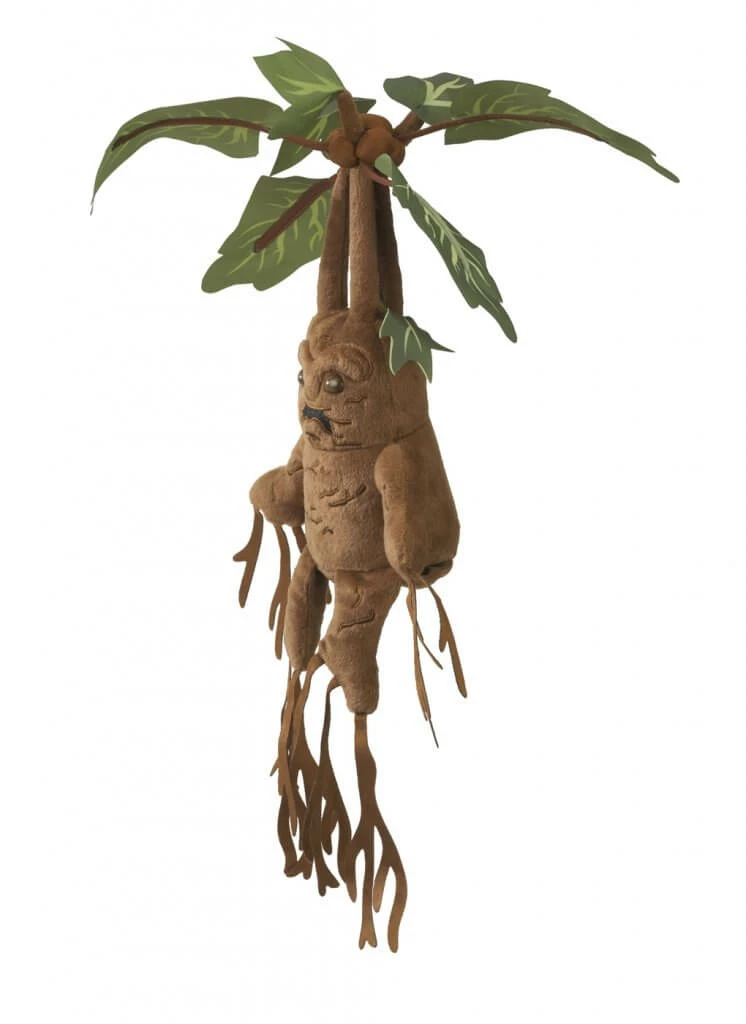 Noble Collection HARRY POTTER Interactive Mandrake 3 Noble Collection HARRY POTTER Interactive Mandrake