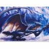 Ozzie Collectables All Board Games Playmat - Dragon Shield - Case And Coin - Sapphire Royenna